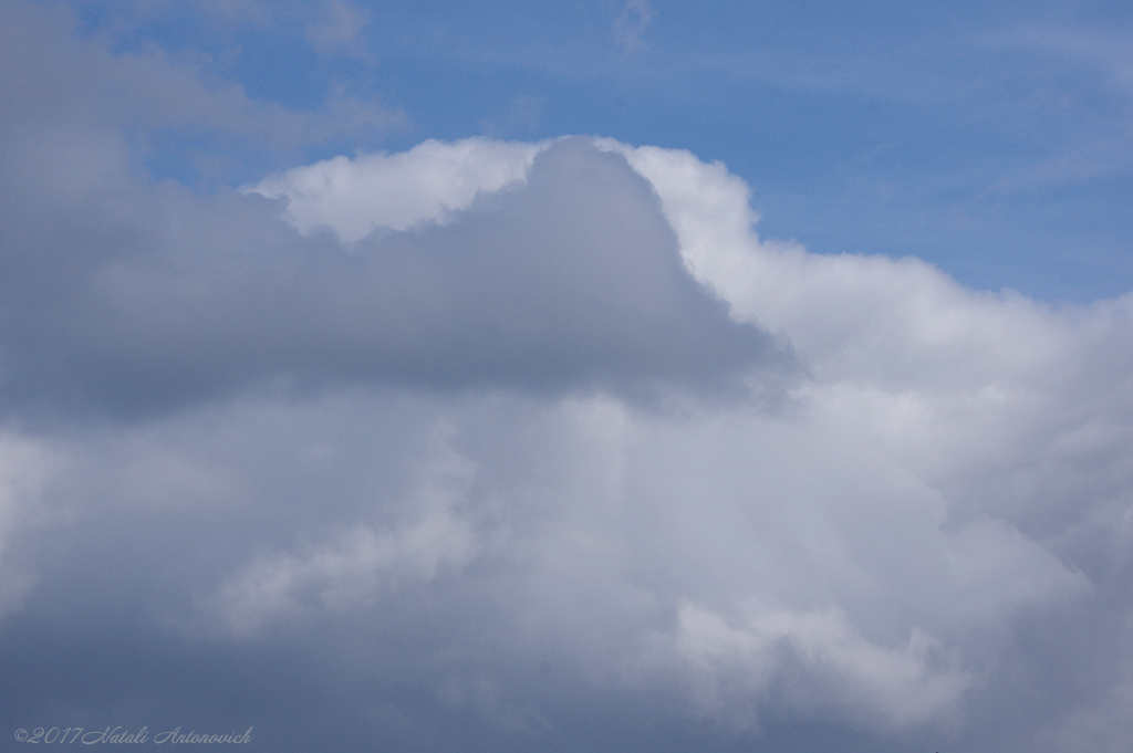 Album "Afbeelding zonder titel" | Fotografie afbeelding "Celestial mood" door Natali Antonovich in Archief/Foto Voorraad.