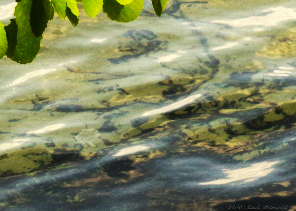 Album "Afbeelding zonder titel" | Fotografie afbeelding "Water Gravitation" door Natali Antonovich in Archief/Foto Voorraad.