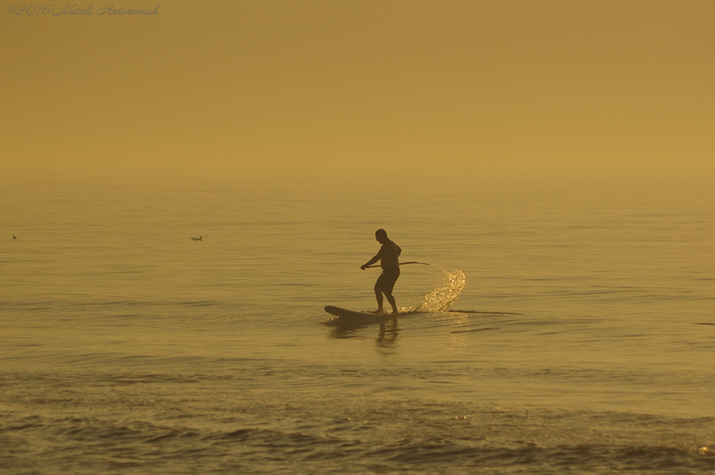 Photography image "Image without title" by Natali Antonovich | Photostock.