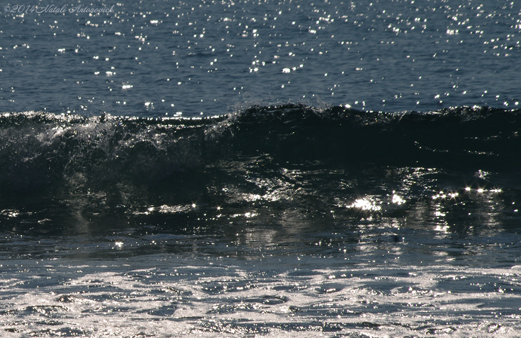 Album  "Image without title" | Photography image "Belgian Coast" by Natali Antonovich in Photostock.