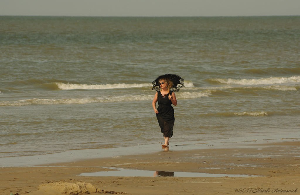 Album "Image sans titre" | Image de photographie "Côte Belge" de Natali Antonovich en photostock.