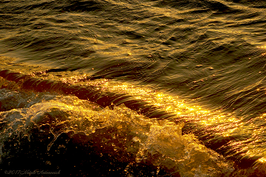 Album  "Image without title" | Photography image "Water Gravitation" by Natali Antonovich in Photostock.