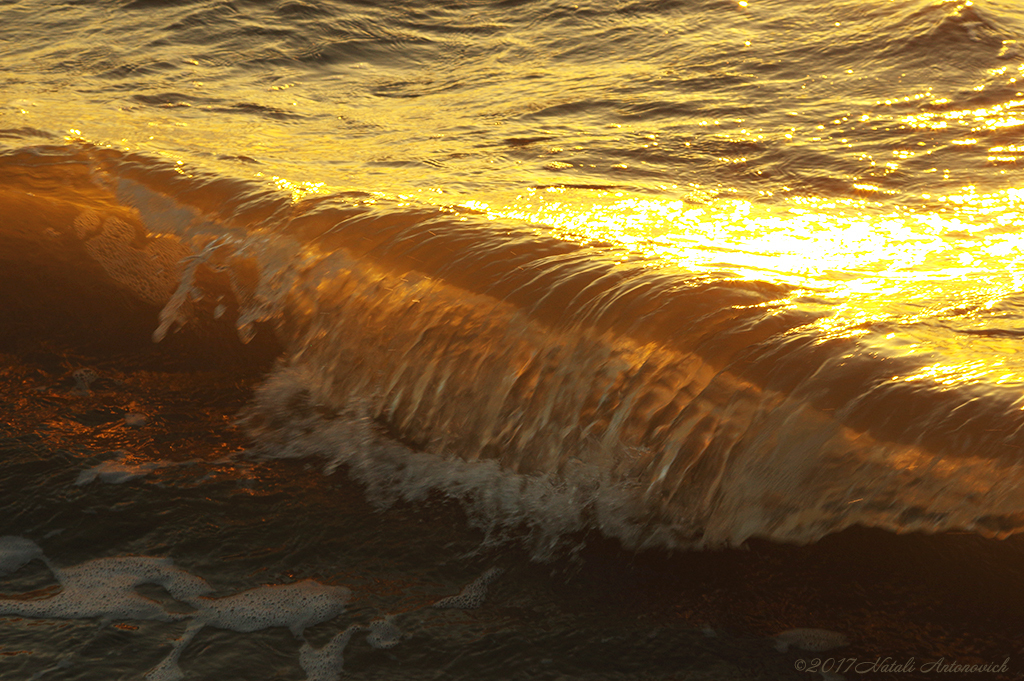 Album "Image sans titre" | Image de photographie "Water Gravitation" de Natali Antonovich en photostock.