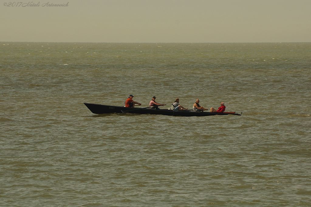 Album  "Image without title" | Photography image "Belgian Coast" by Natali Antonovich in Photostock.