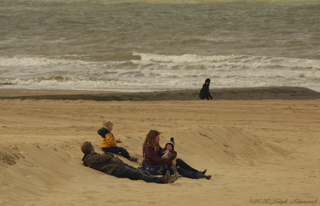 Album  "Image without title" | Photography image "Belgian Coast" by Natali Antonovich in Photostock.