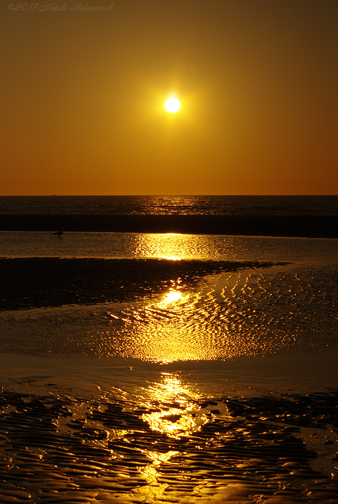 Photography image "Image without title" by Natali Antonovich | Photostock.