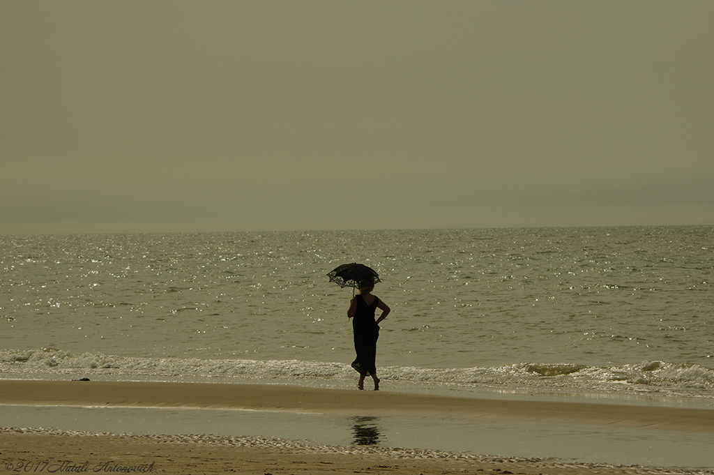 Album  "Image without title" | Photography image "Belgian Coast" by Natali Antonovich in Photostock.