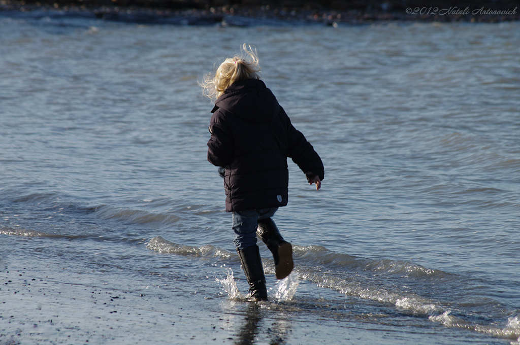 Album  "Image without title" | Photography image "Belgian Coast" by Natali Antonovich in Photostock.