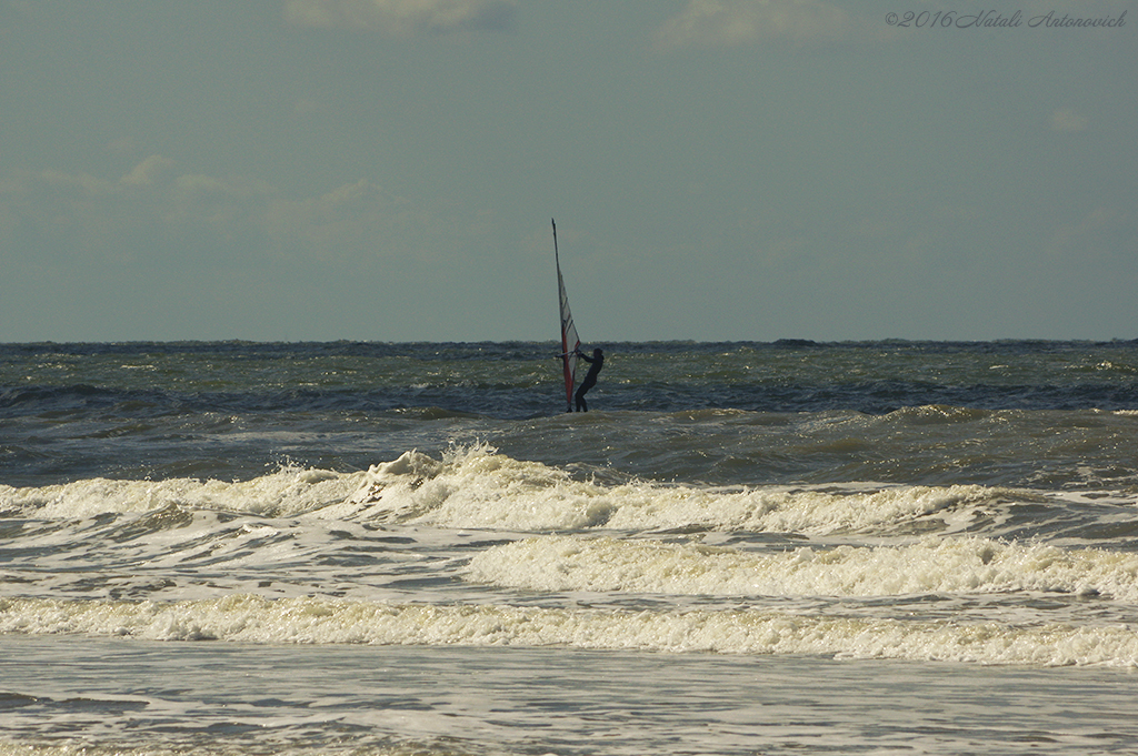 Album  "Image without title" | Photography image "Belgian Coast" by Natali Antonovich in Photostock.