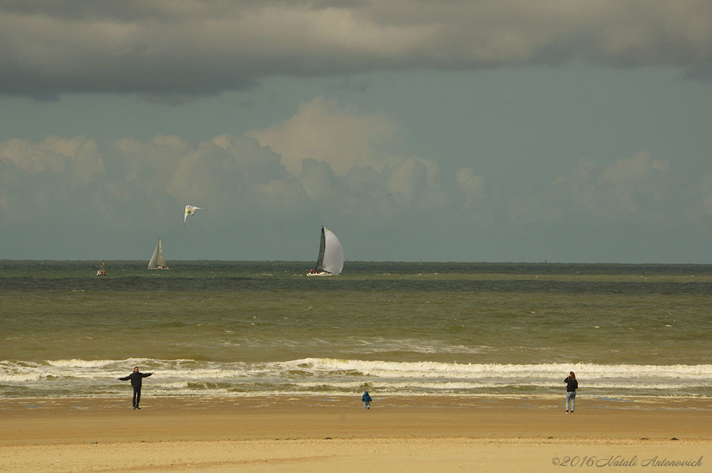 Album "Afbeelding zonder titel" | Fotografie afbeelding "Belgische Kust" door Natali Antonovich in Archief/Foto Voorraad.