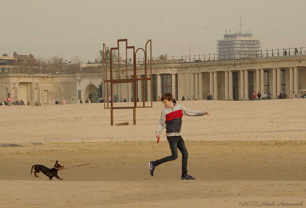 Album "Image sans titre" | Image de photographie "Côte Belge" de Natali Antonovich en photostock.