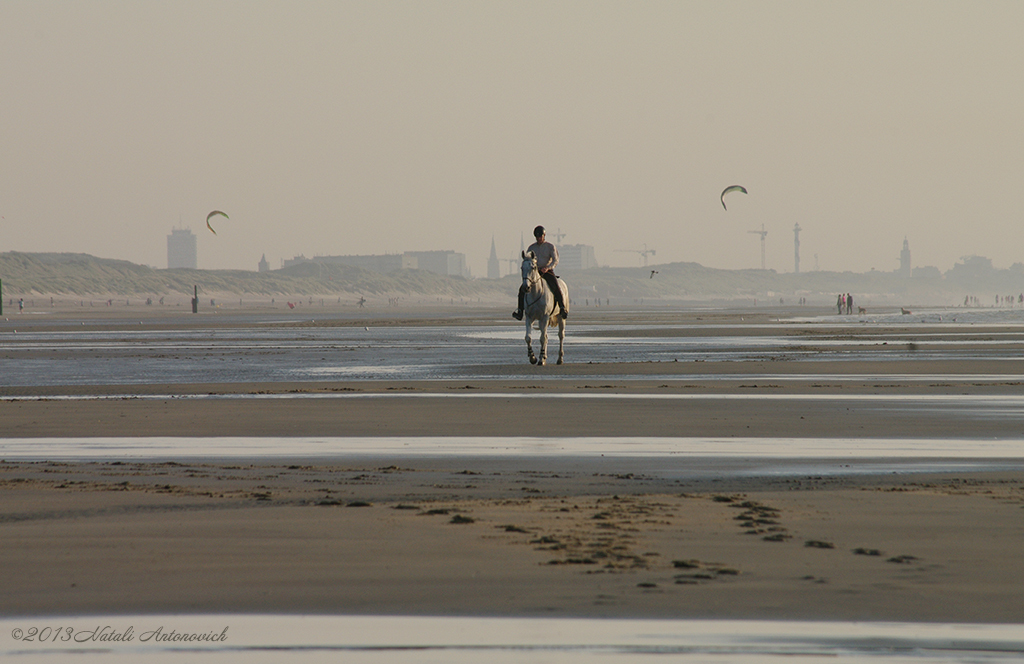 Album  "Image without title" | Photography image "Belgian Coast" by Natali Antonovich in Photostock.