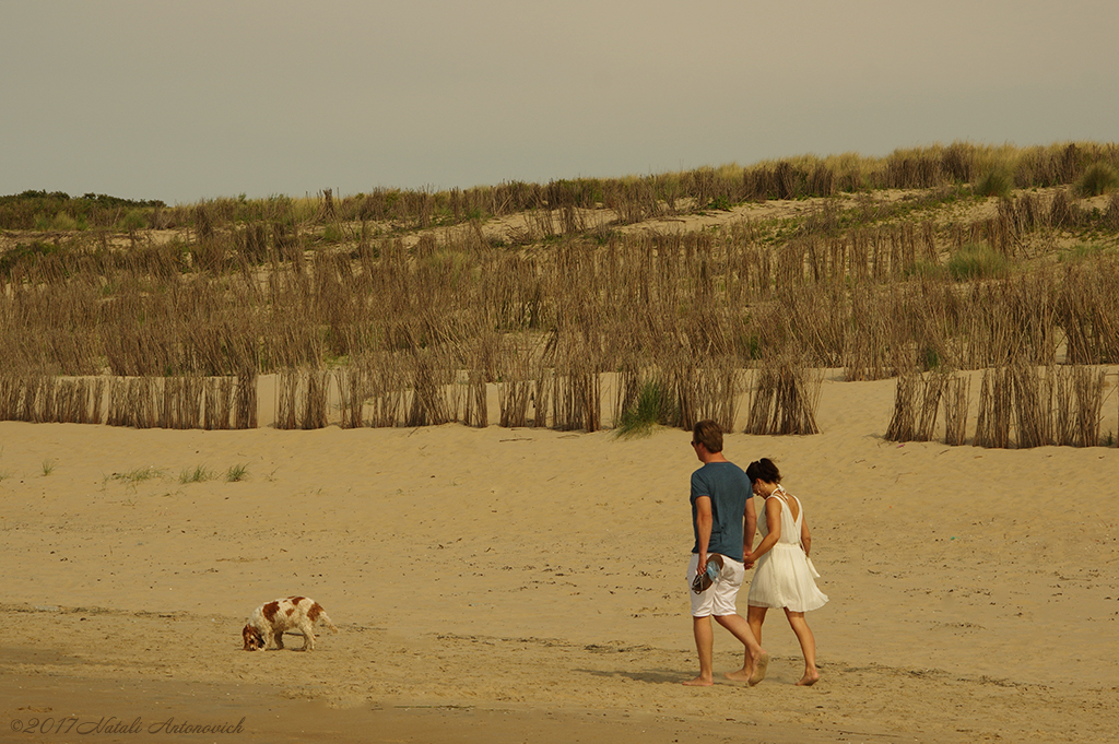 Image de photographie "Image sans titre" de Natali Antonovich | Photostock.