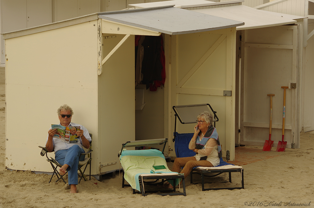 Album "Image sans titre" | Image de photographie "Côte Belge" de Natali Antonovich en photostock.