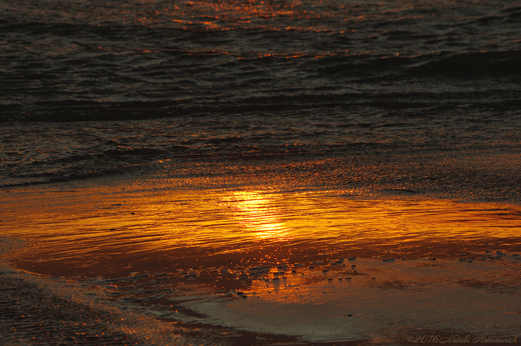 Album  "Image without title" | Photography image "Belgian Coast" by Natali Antonovich in Photostock.