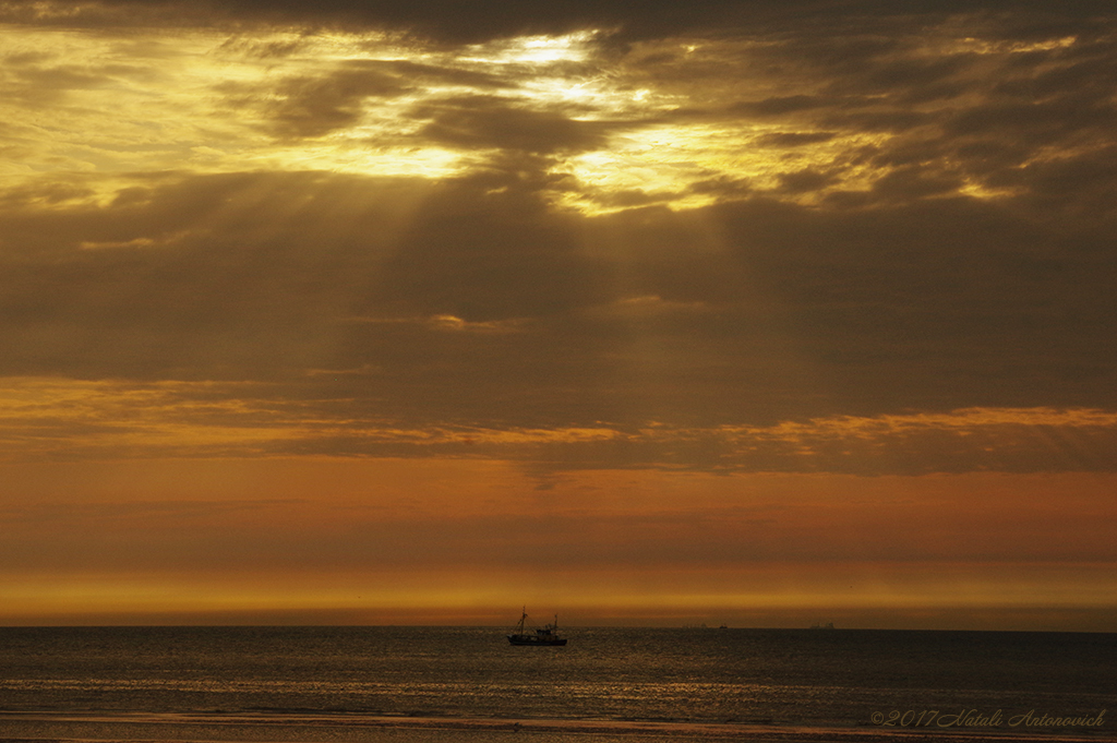 Image de photographie "Image sans titre" de Natali Antonovich | Photostock.