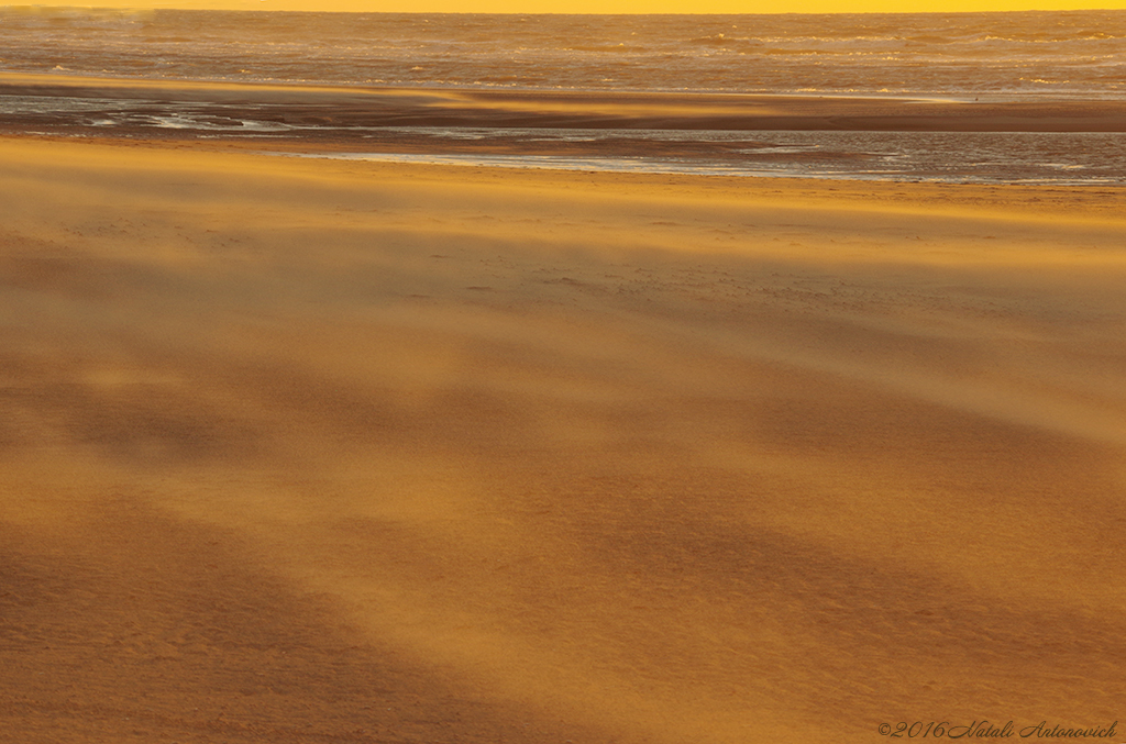 Album "Image sans titre" | Image de photographie "Côte Belge" de Natali Antonovich en photostock.