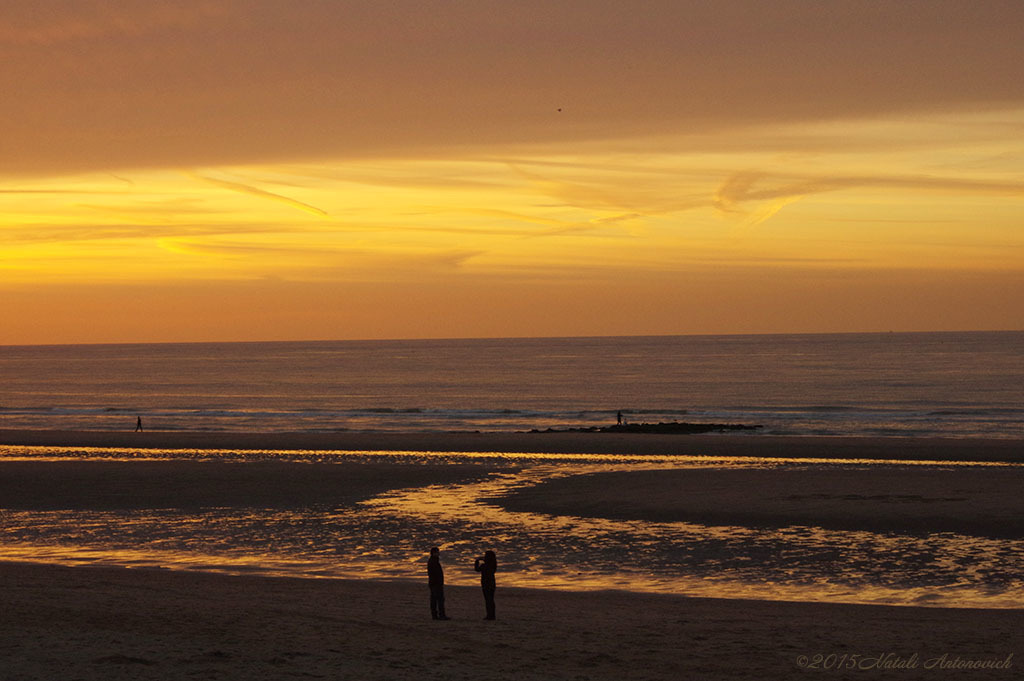 Album  "Image without title" | Photography image "Belgian Coast" by Natali Antonovich in Photostock.