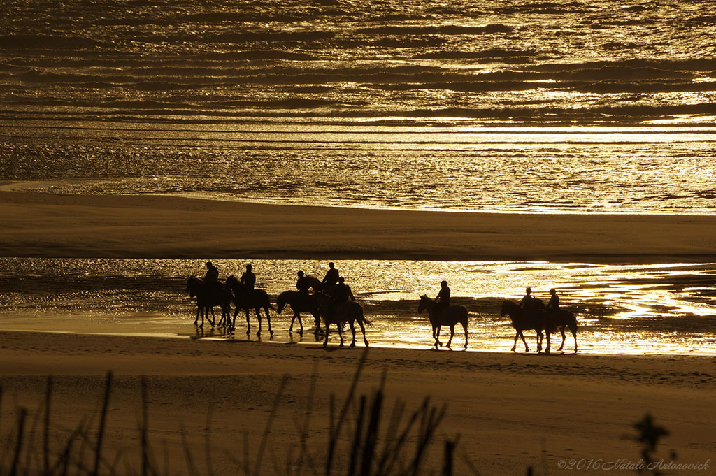 Image de photographie "Image sans titre" de Natali Antonovich | Photostock.