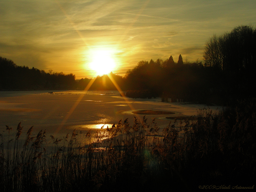 Album "Image sans titre" | Image de photographie "Hiver. Vacances de Noël" de Natali Antonovich en photostock.