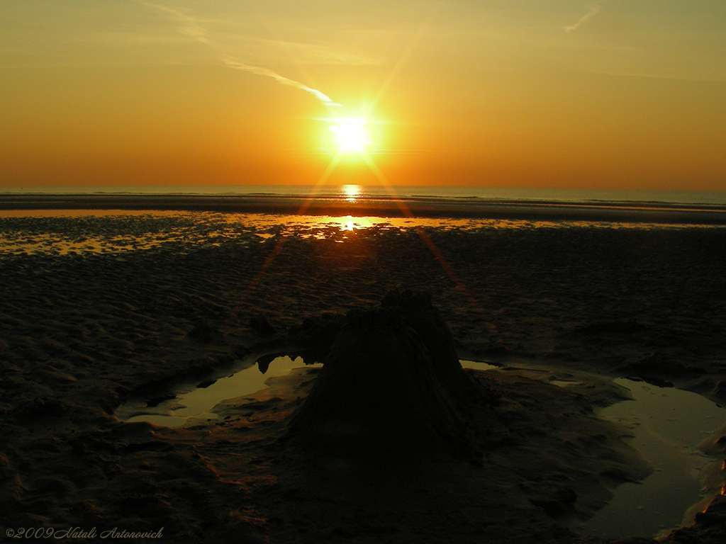 Album "Afbeelding zonder titel" | Fotografie afbeelding "Celestial mood" door Natali Antonovich in Archief/Foto Voorraad.