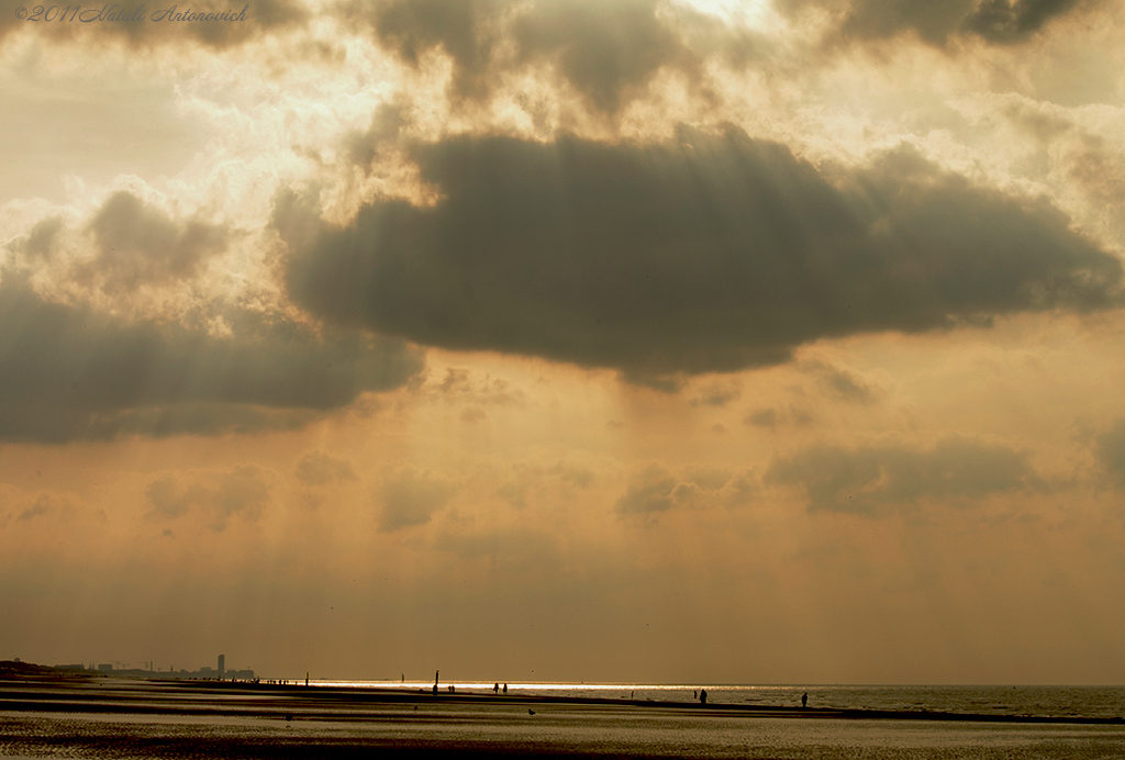 Photography image "Image without title" by Natali Antonovich | Photostock.