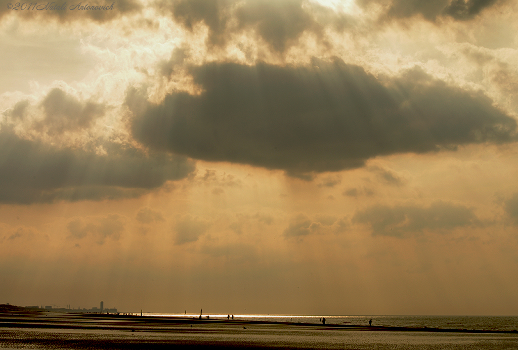 Album "Afbeelding zonder titel" | Fotografie afbeelding "Celestial mood" door Natali Antonovich in Archief/Foto Voorraad.