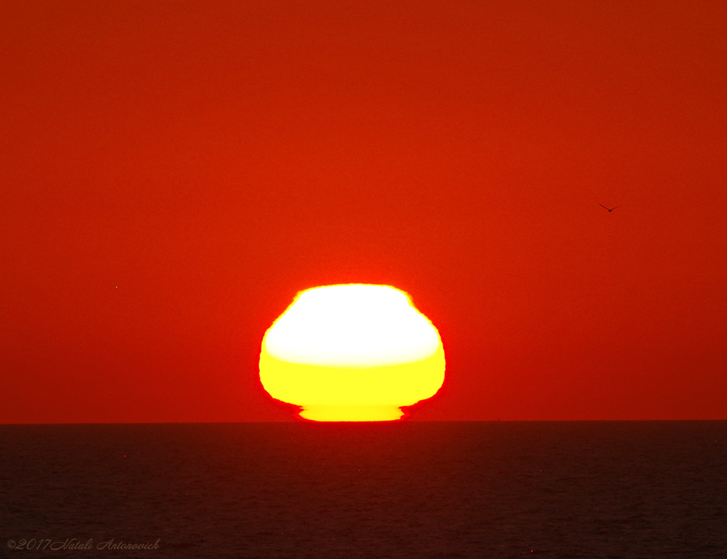 Album "Afbeelding zonder titel" | Fotografie afbeelding "Celestial mood" door Natali Antonovich in Archief/Foto Voorraad.