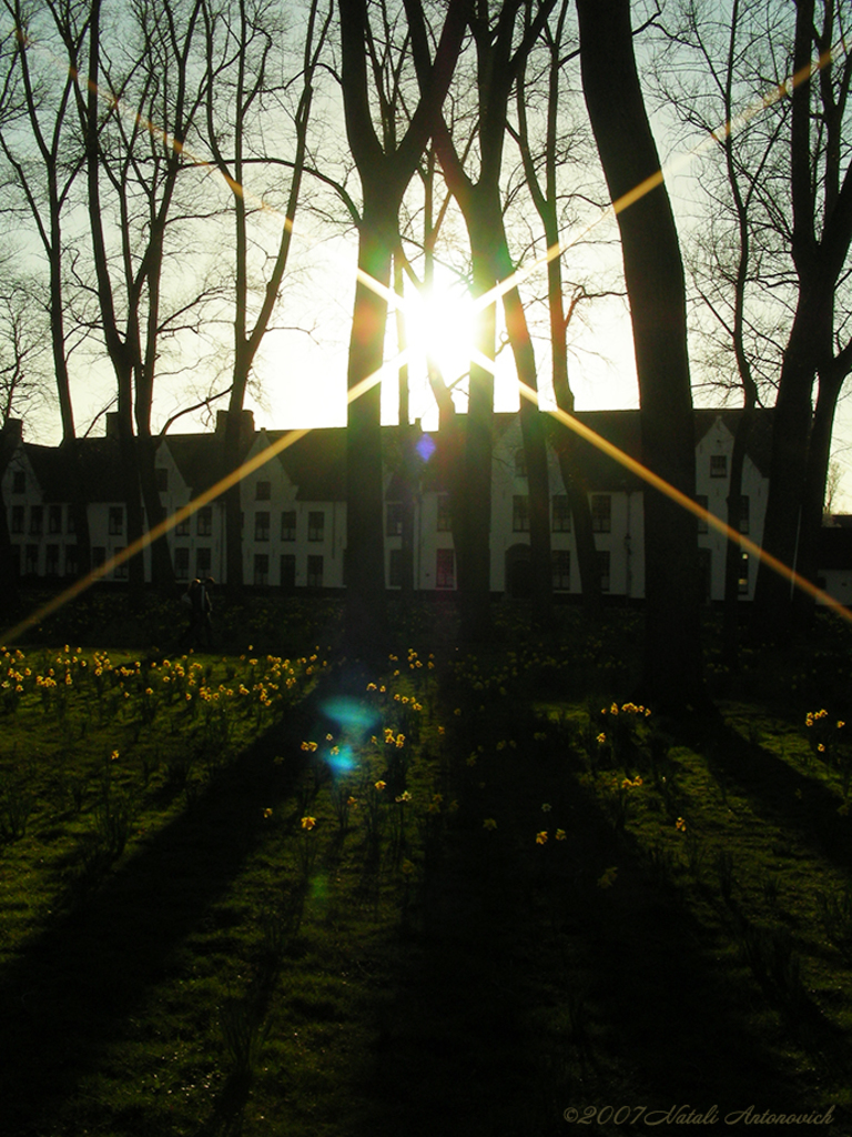 Album "Afbeelding zonder titel" | Fotografie afbeelding " Brugge" door Natali Antonovich in Archief/Foto Voorraad.