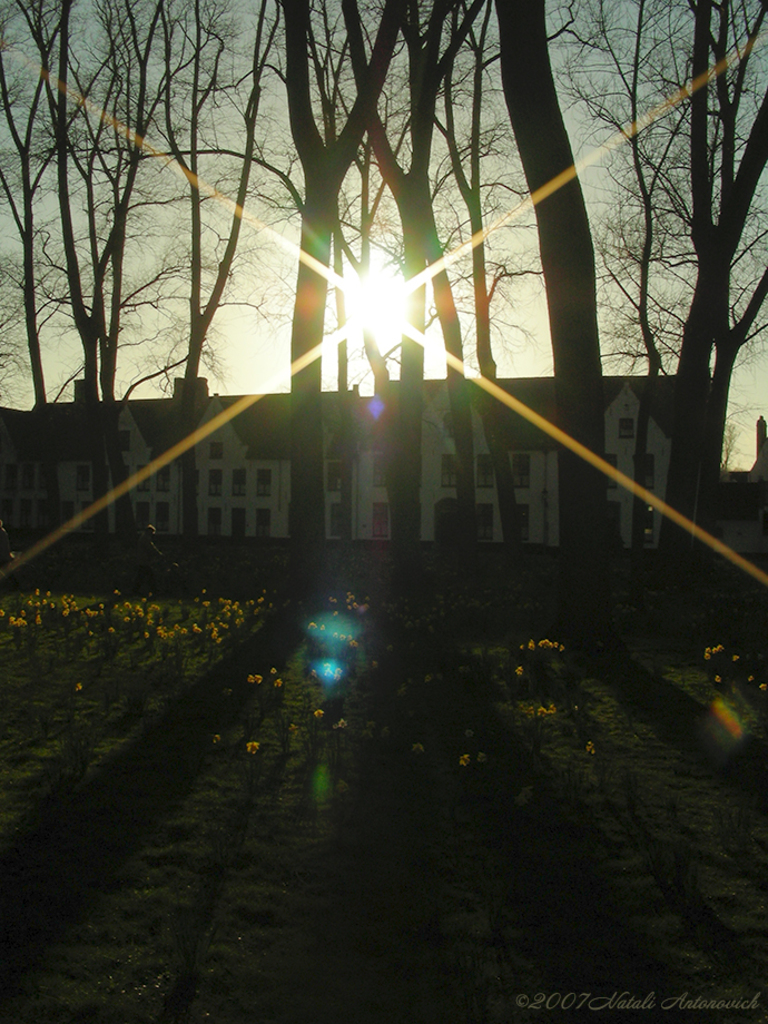 Album "Afbeelding zonder titel" | Fotografie afbeelding " Brugge" door Natali Antonovich in Archief/Foto Voorraad.