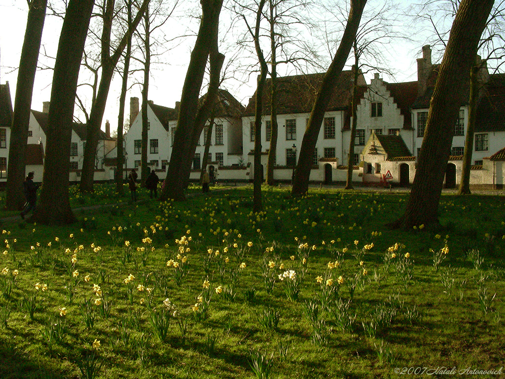 Album "Afbeelding zonder titel" | Fotografie afbeelding " Brugge" door Natali Antonovich in Archief/Foto Voorraad.