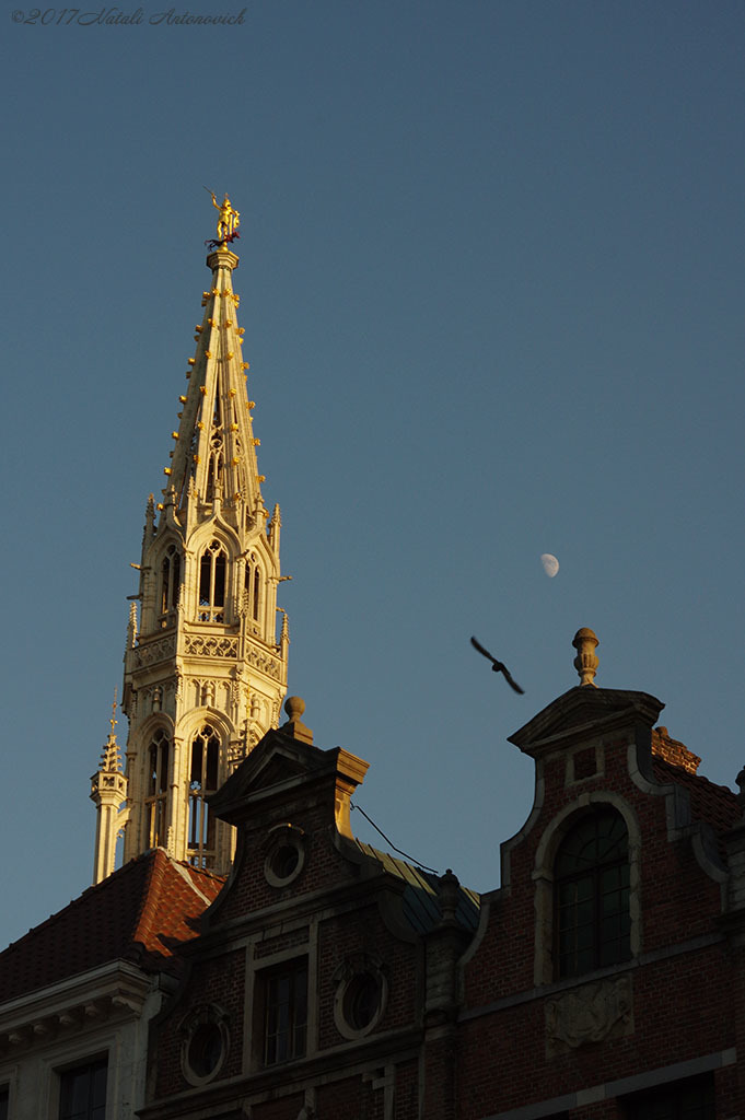 Album "Afbeelding zonder titel" | Fotografie afbeelding " Brussel" door Natali Antonovich in Archief/Foto Voorraad.