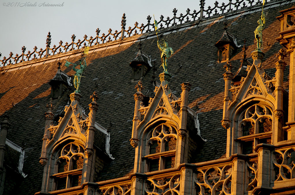 Album "Afbeelding zonder titel" | Fotografie afbeelding " Brussel" door Natali Antonovich in Archief/Foto Voorraad.