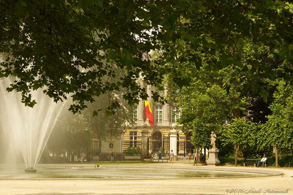 Album "Afbeelding zonder titel" | Fotografie afbeelding " Brussel" door Natali Antonovich in Archief/Foto Voorraad.