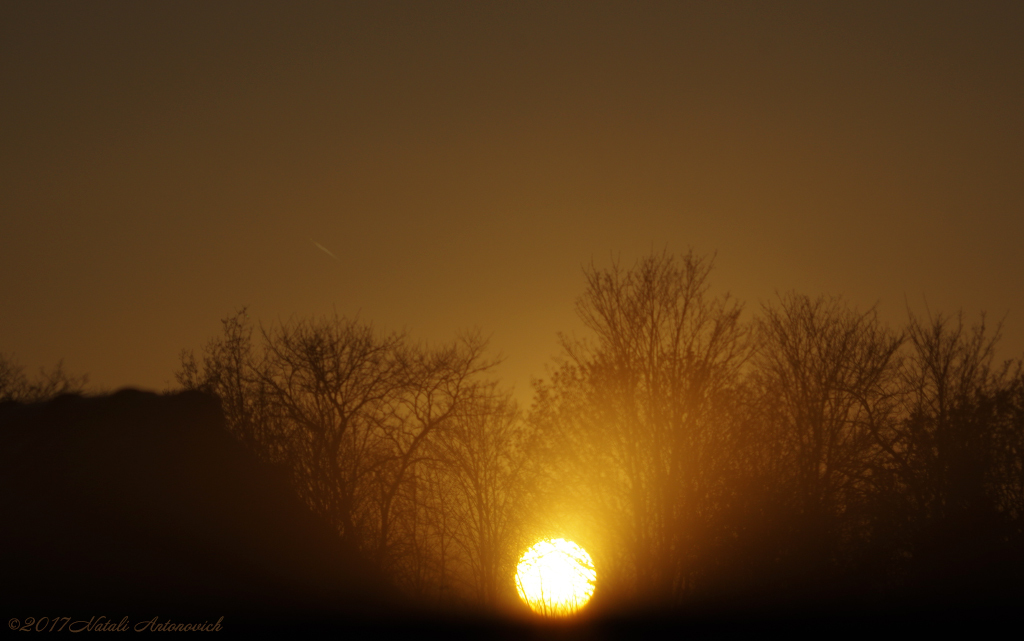 Album "Afbeelding zonder titel" | Fotografie afbeelding "Celestial mood" door Natali Antonovich in Archief/Foto Voorraad.