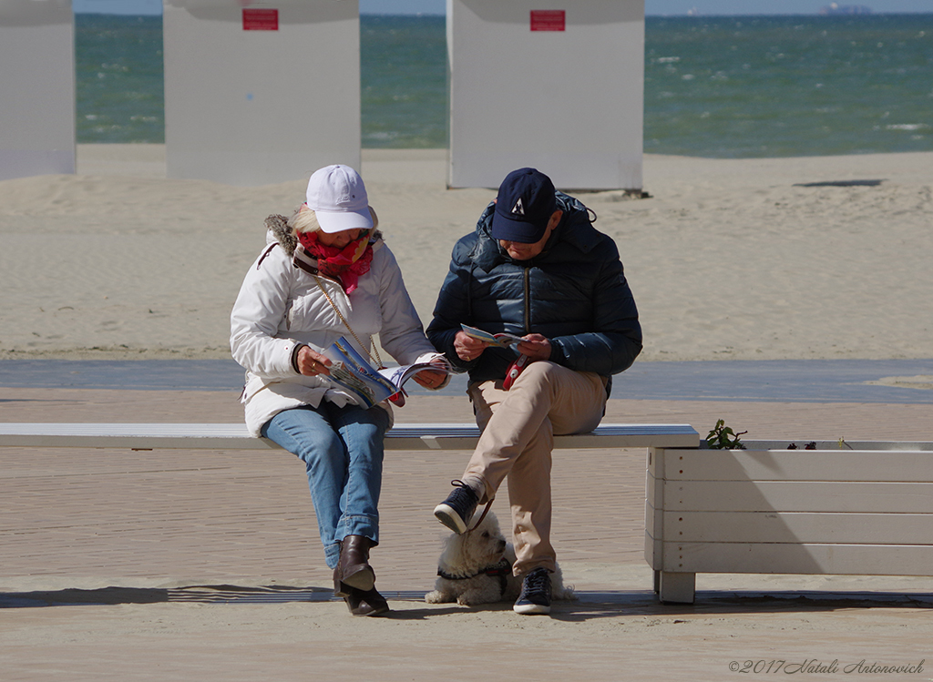 Fotografie afbeelding "Afbeelding zonder titel" door Natali Antonovich | Archief/Foto Voorraad.