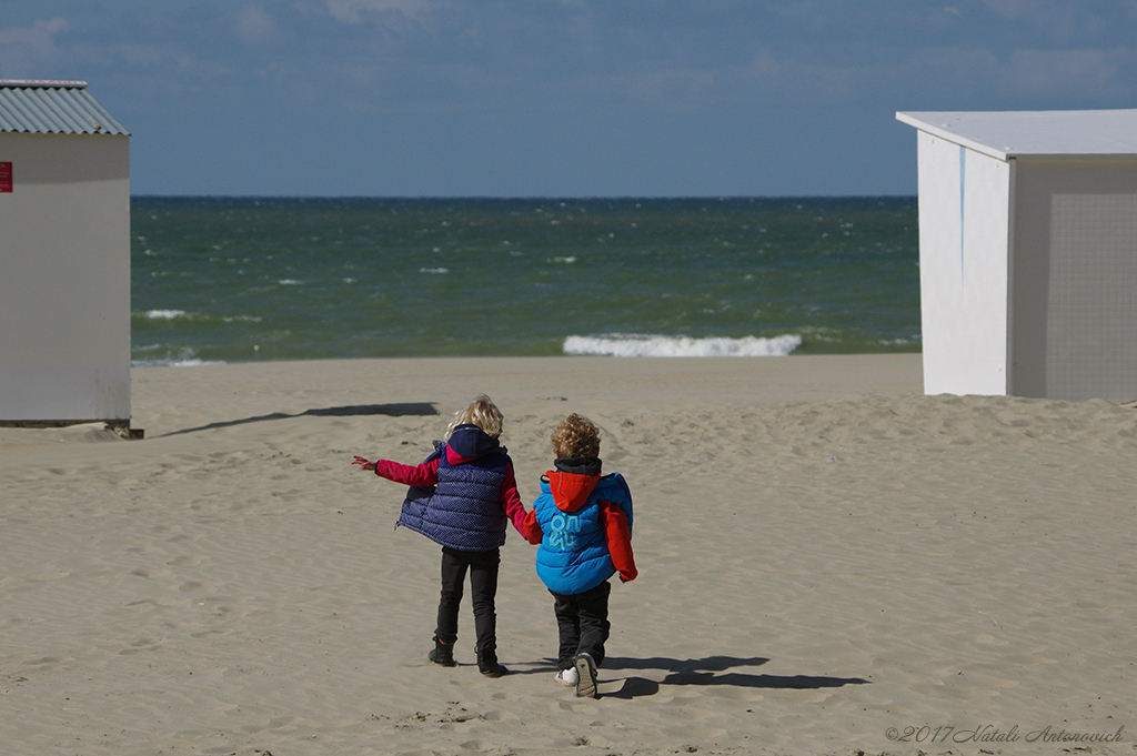 Album "Bild ohne Titel" | Fotografiebild "Water Gravitation" von Natali Antonovich im Sammlung/Foto Lager.