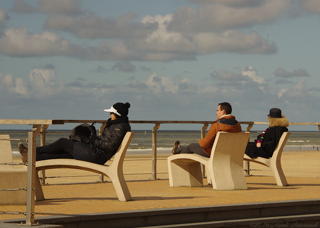 Album "Image sans titre" | Image de photographie "Côte Belge" de Natali Antonovich en photostock.