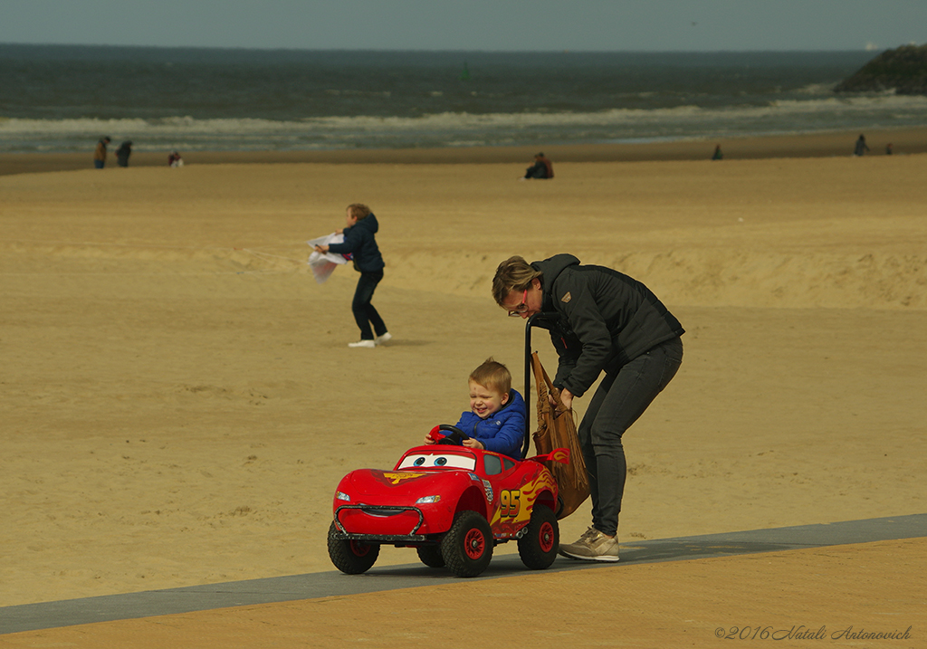 Album "Image sans titre" | Image de photographie "Belgique" de Natali Antonovich en photostock.