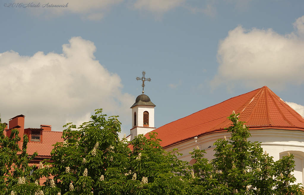 Album  "Image without title" | Photography image " Belarus" by Natali Antonovich in Photostock.