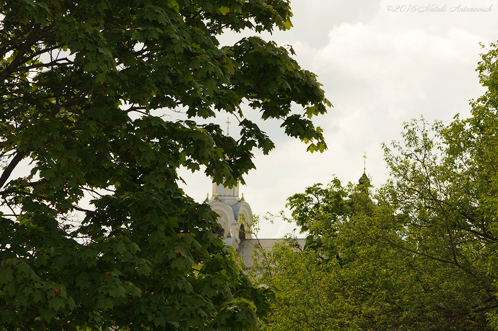 Image de photographie "Image sans titre" de Natali Antonovich | Photostock.