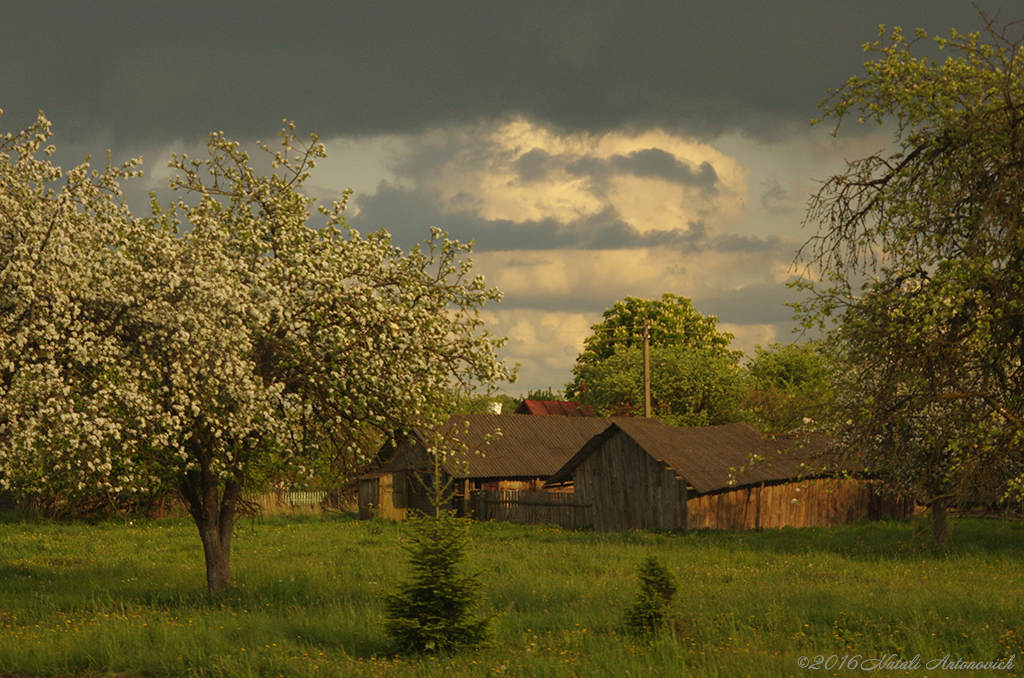 Photography image "Image without title" by Natali Antonovich | Photostock.