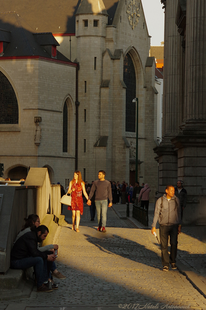 Album "Afbeelding zonder titel" | Fotografie afbeelding " Brussel" door Natali Antonovich in Archief/Foto Voorraad.