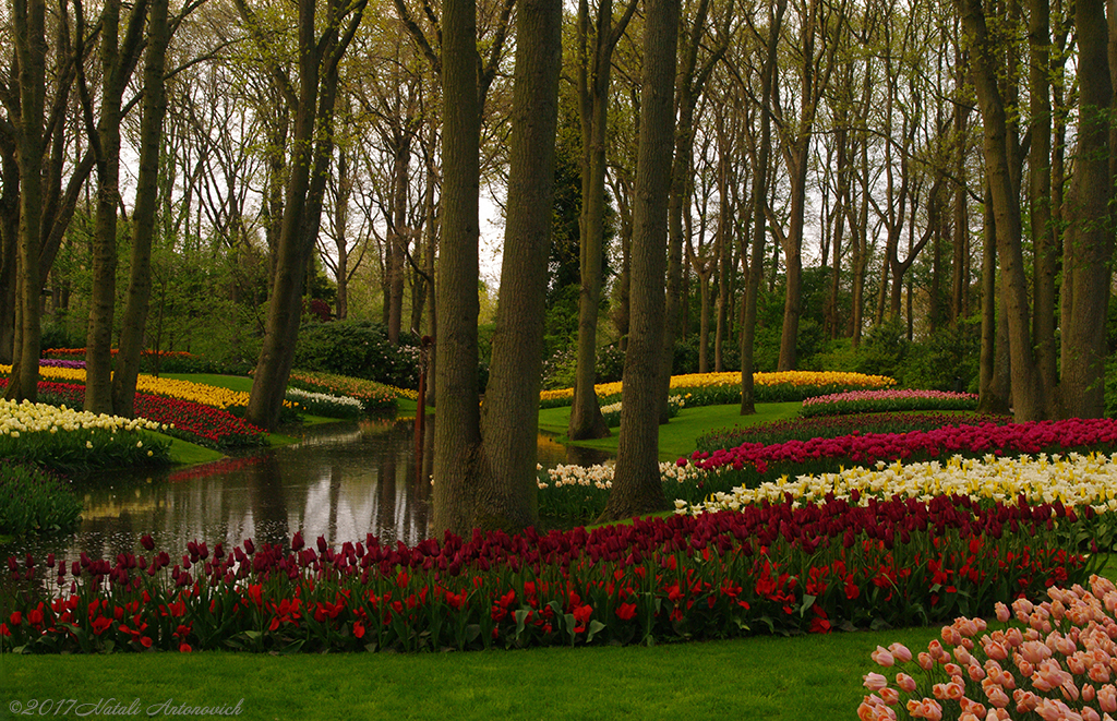 Fotografie afbeelding "Afbeelding zonder titel" door Natali Antonovich | Archief/Foto Voorraad.