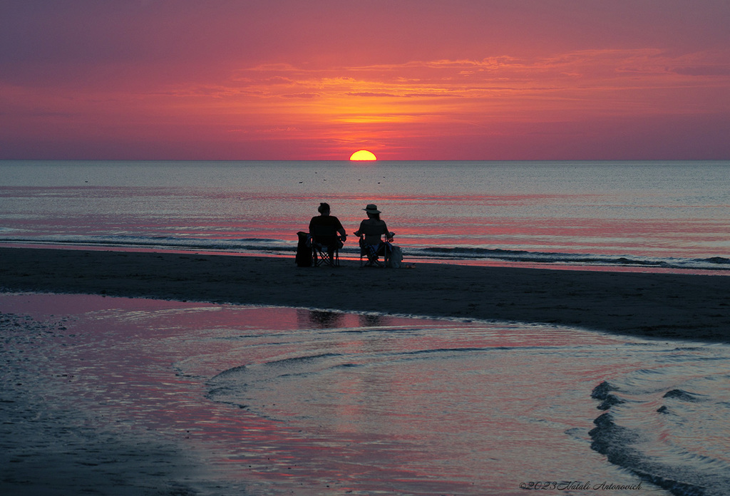 Album  "Image without title" | Photography image "Belgian Coast" by Natali Antonovich in Photostock.