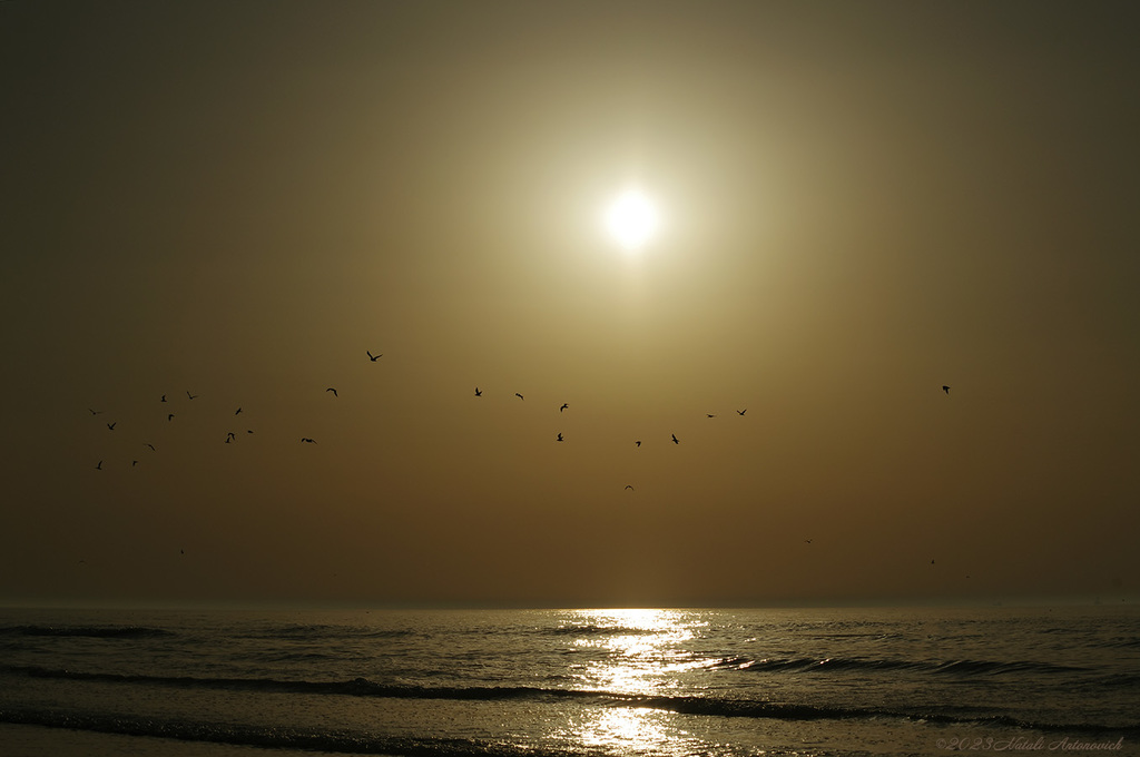 Album "Afbeelding zonder titel" | Fotografie afbeelding "Celestial mood" door Natali Antonovich in Archief/Foto Voorraad.