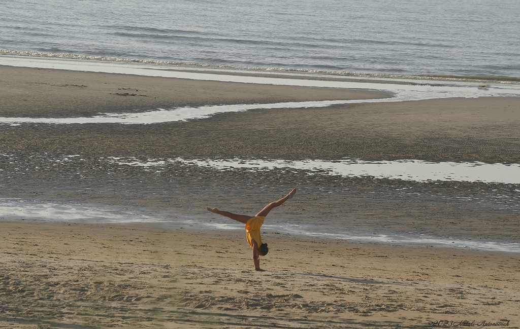 Album  "Image without title" | Photography image "Belgian Coast" by Natali Antonovich in Photostock.