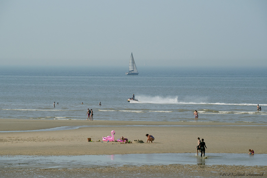 Album "Image sans titre" | Image de photographie "Belgique" de Natali Antonovich en photostock.