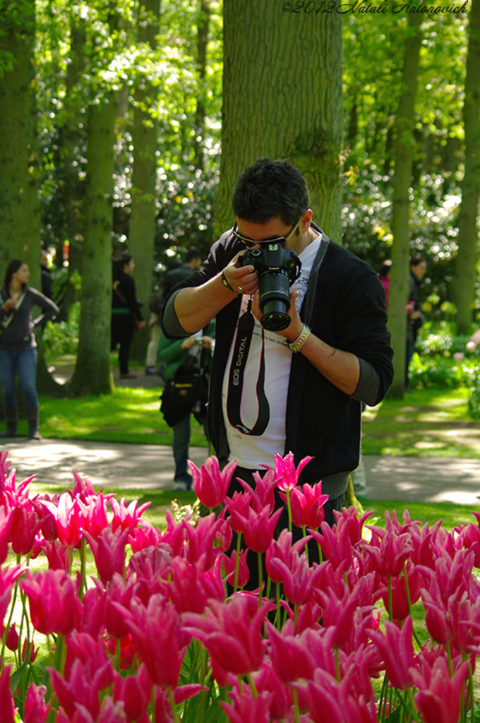 Image de photographie "Image sans titre" de Natali Antonovich | Photostock.