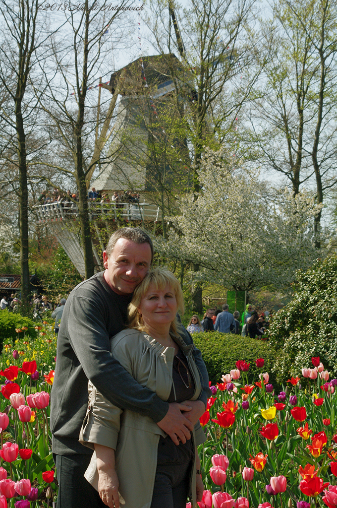 Fotografie afbeelding "Afbeelding zonder titel" door Natali Antonovich | Archief/Foto Voorraad.